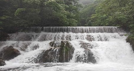 西岭雪山大飞水风景区第 31 张图片