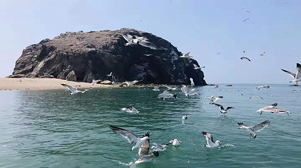 大连金石滩财神岛海岛乐园第 35 张图片