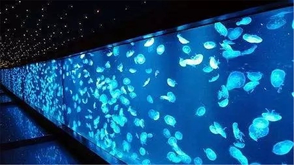 南通海底世界第 25 张图片