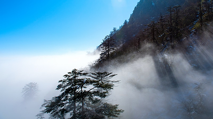 瓦屋山景区第 25 张图片