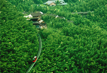 天目湖南山竹海第 87 张图片