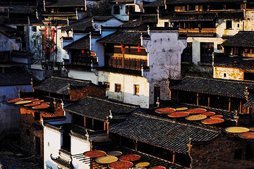 婺源篁岭景区第 339 张图片