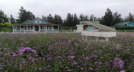森林河趣那主题公园第 16 张图片