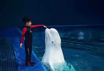 三亚亚特兰蒂斯失落的空间水族馆第 69 张图片