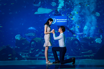 三亚亚特兰蒂斯失落的空间水族馆第 29 张图片