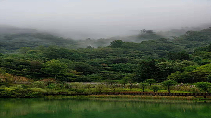 鬼谷岭景区第 66 张图片