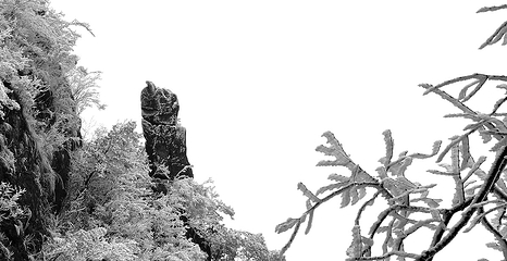 清远金子山原生态旅游风景区第 230 张图片