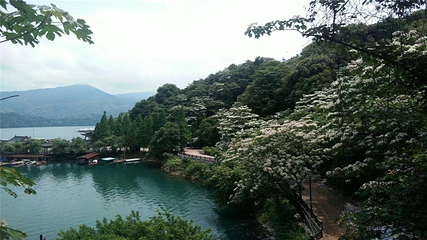酒仙湖第 65 张图片