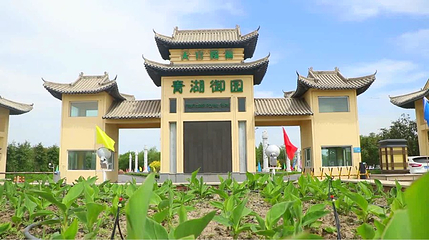 五家渠青湖御园第 23 张图片