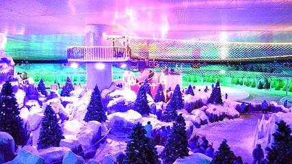 石林冰雪海洋世界第 7 张图片