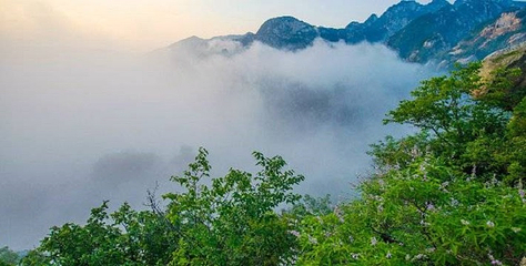 云梦仙境自然风景区第 78 张图片