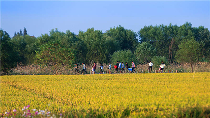 长兴太湖图影湿地文化园第 35 张图片