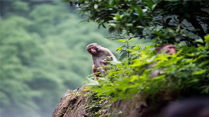 重庆统景温泉风景区第 66 张图片