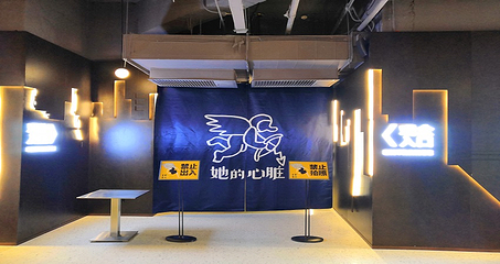 孟京辉作品《成都偷心》(东湖公园店)第 8 张图片