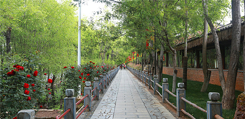 拉市海湿地公园第 10 张图片