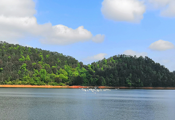 赣州阳明湖景区第 37 张图片