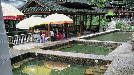银水侗寨鱼餐馆第 15 张图片