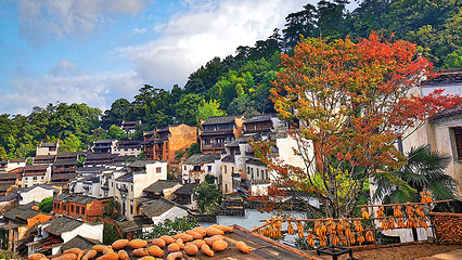 婺源篁岭景区第 39 张图片