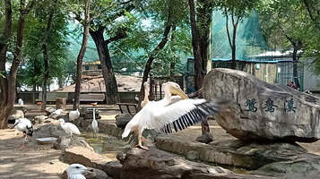 哈尔滨鸟语林动物园