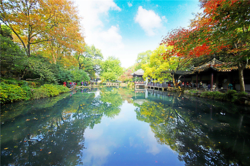 惠山古镇·寄畅园第 78 张图片