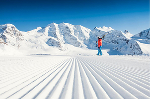 芝山森林度假村