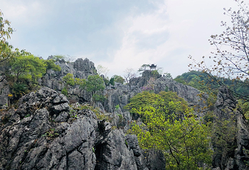 千岛湖石林景区第 57 张图片