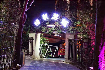 夜游三亚湾第 27 张图片