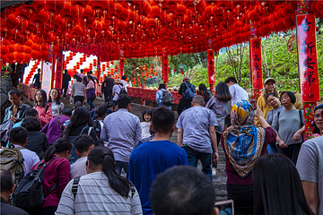玉石林风景区第 17 张图片