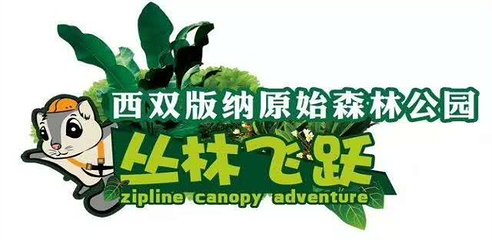 西双版纳原始森林公园丛林飞跃第 28 张图片