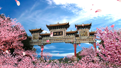 桃花源第 11 张图片