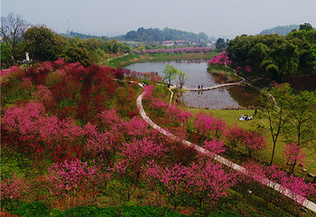 桃花源第 71 张图片