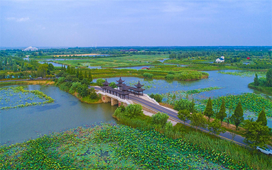 泗洪洪泽湖湿地景区第 50 张图片