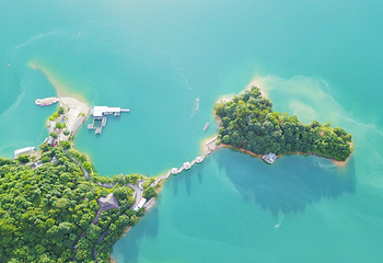 万绿湖风景区第 44 张图片