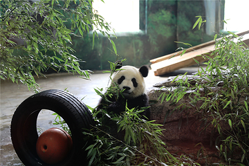 临沂动植物园第 22 张图片