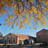 坊子炭矿博物馆