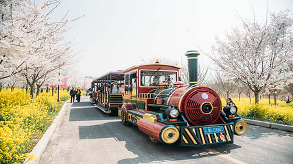 古柏渡飞黄旅游区第 21 张图片