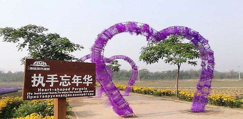 菲奢尔海景温泉第 114 张图片