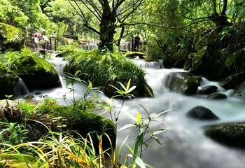 婺源石门峡山野秘境第 26 张图片
