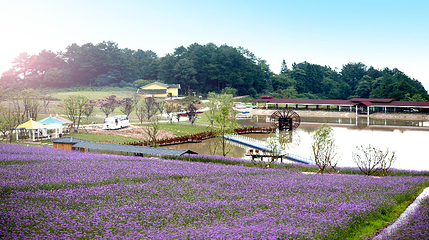 横山花仙谷第 1 张图片