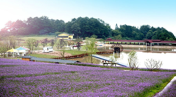 横山花仙谷