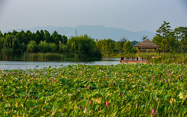 仙山湖风景区第 31 张图片