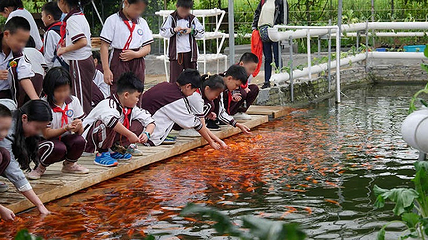 耕山小寨欢乐农场第 8 张图片