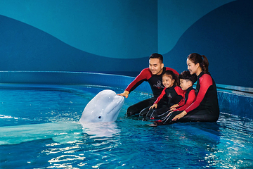 三亚亚特兰蒂斯失落的空间水族馆第 53 张图片