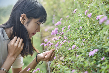 玉石林风景区第 22 张图片