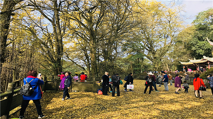蒙顶山第 121 张图片
