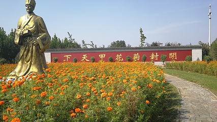 中国菊园第 3 张图片