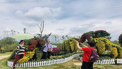 都江堰·玫瑰花溪谷第 31 张图片