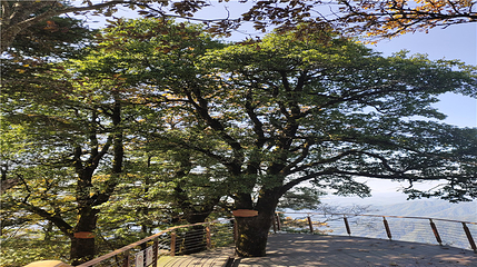 鬼谷岭景区第 49 张图片