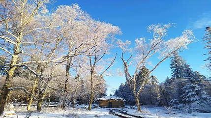 长白山仙峰雪岭景区第 10 张图片