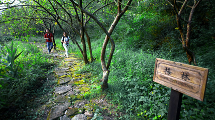 新兴天露山旅游度假区第 46 张图片